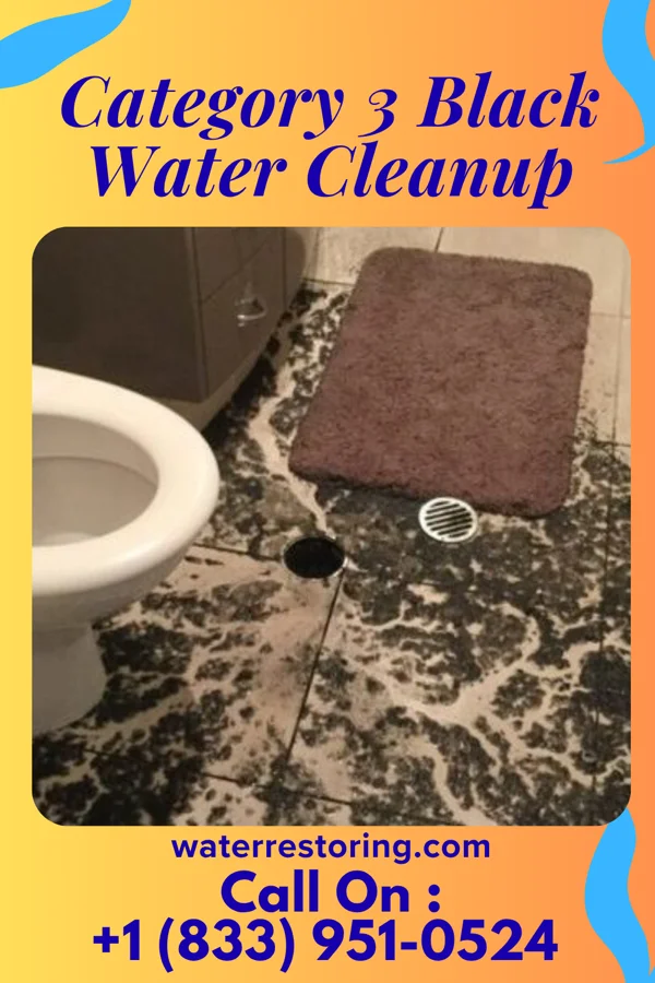 Category 3 Black Water Cleanup in North Windham, ME